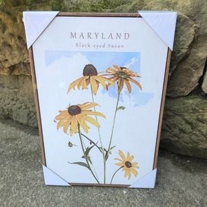 Maryland black-eyed susan framed print